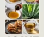 Agave Recipe